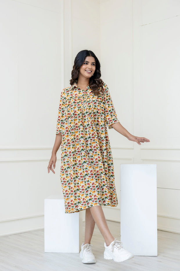 Women Multicolor Printed Flared Midi Dress