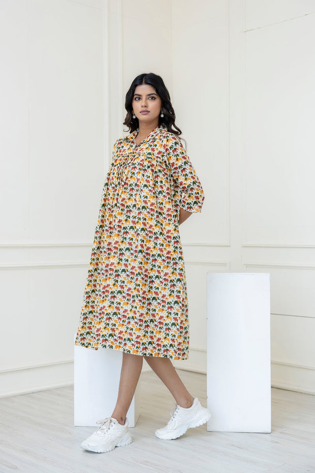 Women Multicolor Printed Flared Midi Dress